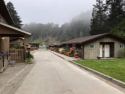 This camp will be held at Albion Field Station, in California.